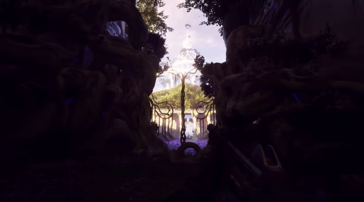 Forest Reigns video 2