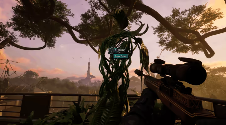 Forest Reigns video 3