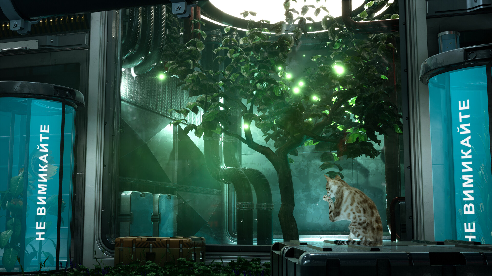 Catfall screenshot #3