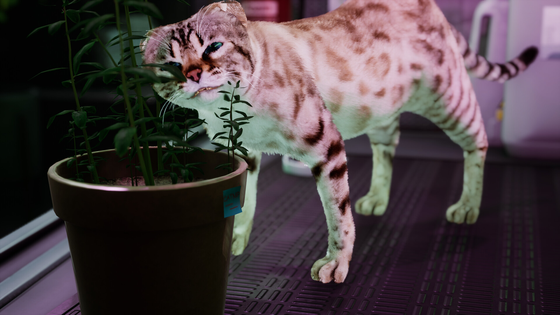 Catfall screenshot 11