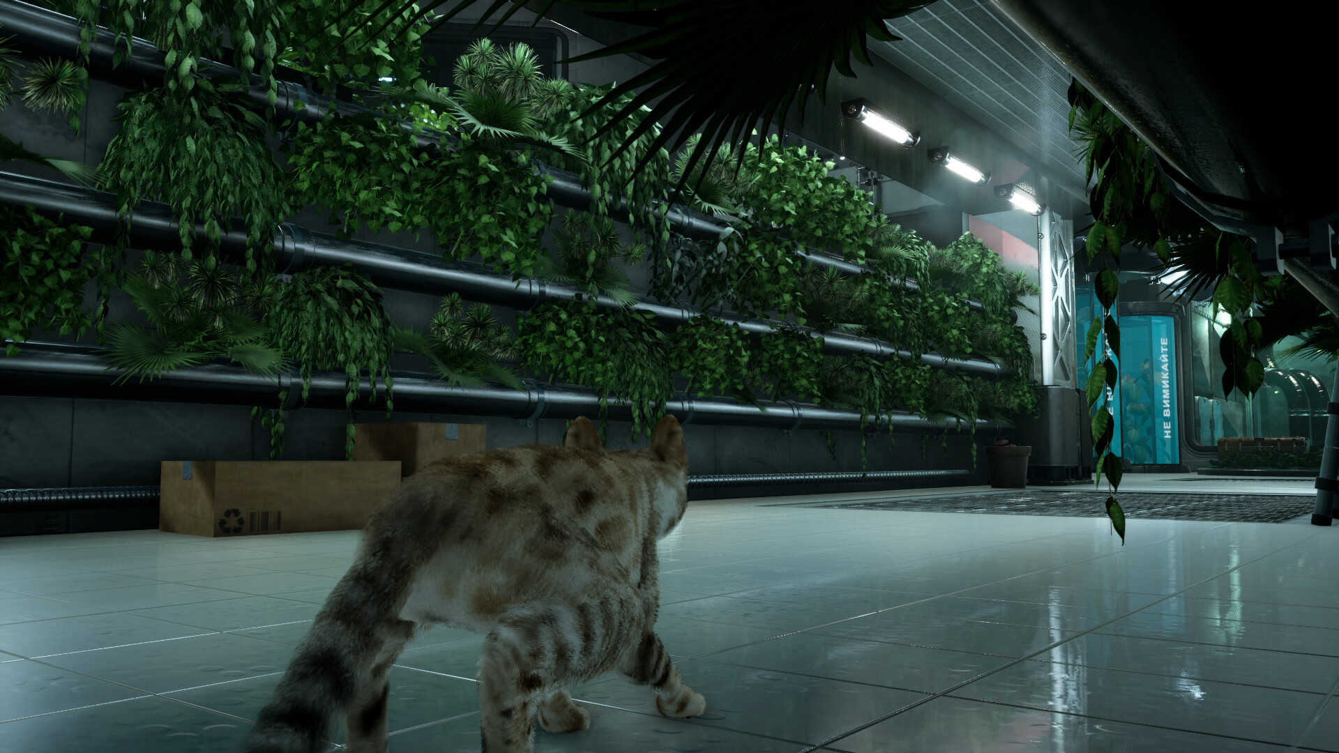 Catfall screenshot #7