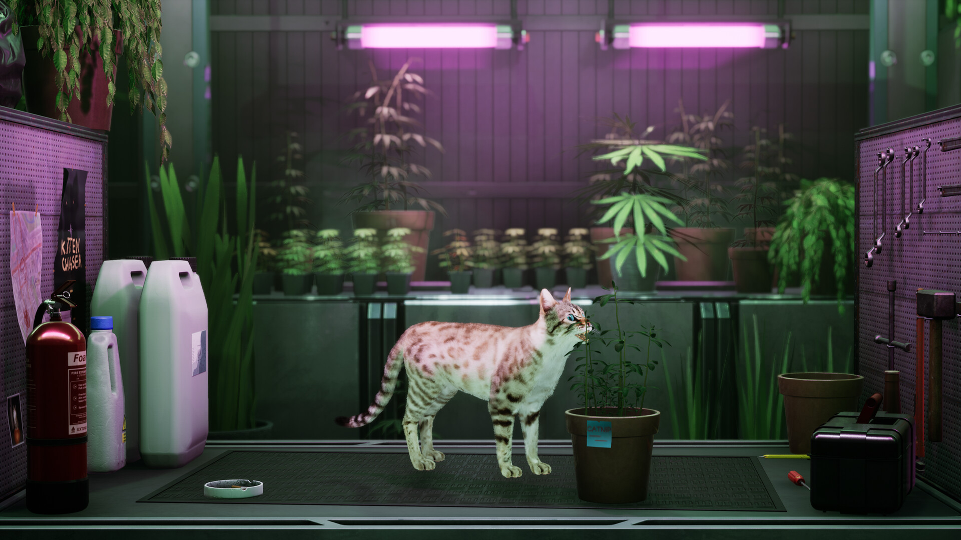 Catfall screenshot #1