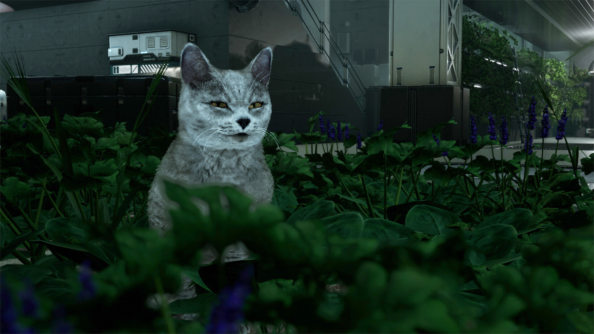 Catfall screenshot #5