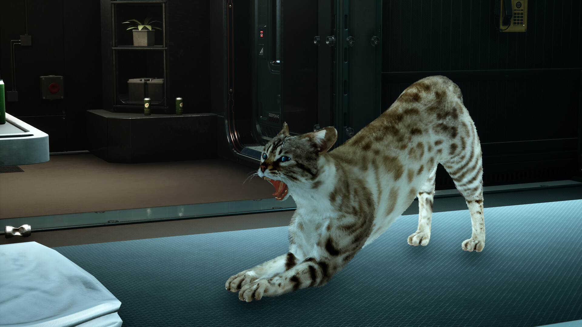 Catfall screenshot #8