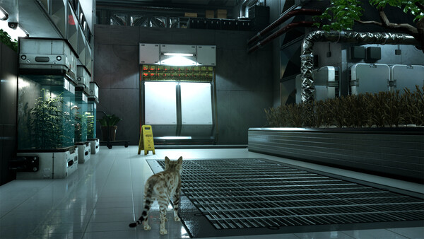 Скриншот 2 из игры Catfall
