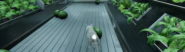 Catfall video 2