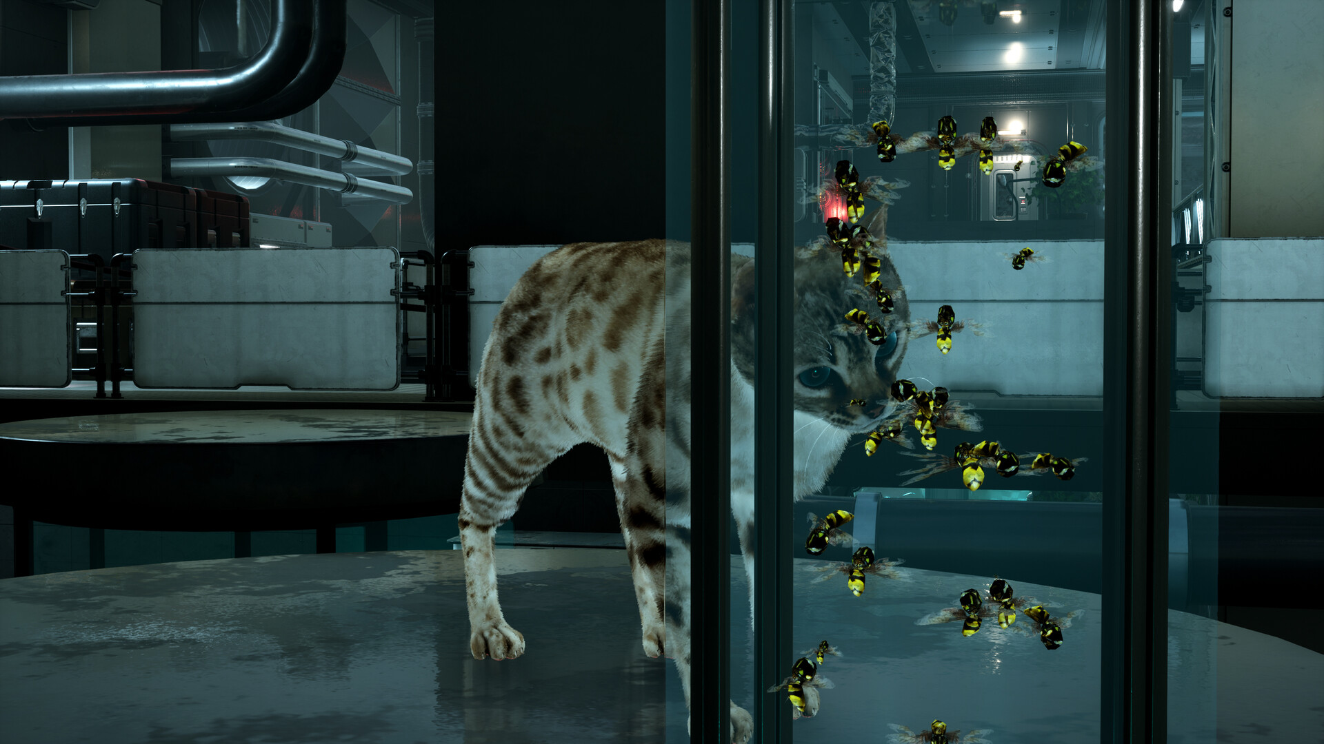 Catfall screenshot #9