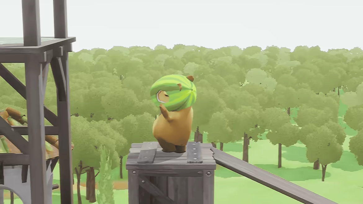 CapyBash video 5