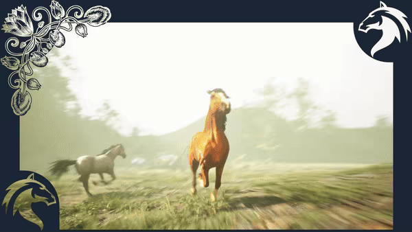 Horse video 1