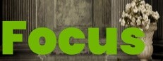 Focus