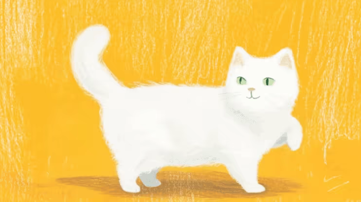 Magic Puzzle King 2: Rolling Cat video 2
