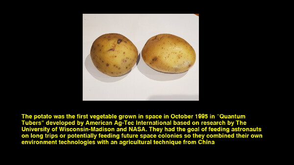 Quiz & Learn: Food & Drink screenshot 3