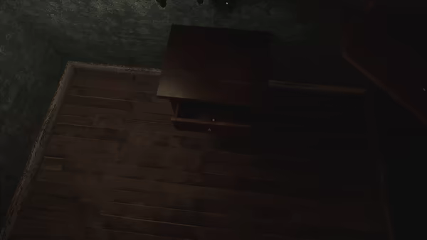 Light in the woods video 4