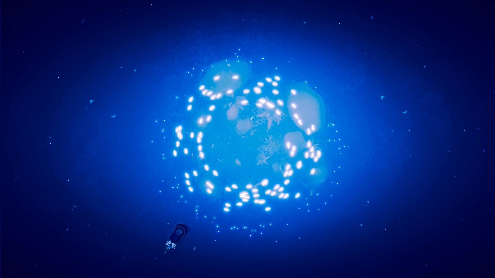 Shippin screenshot #4