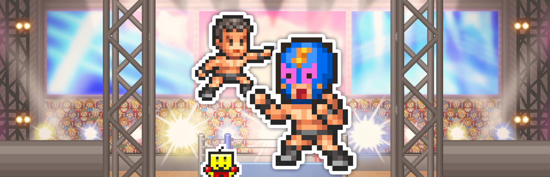 Pro Wrestler Story