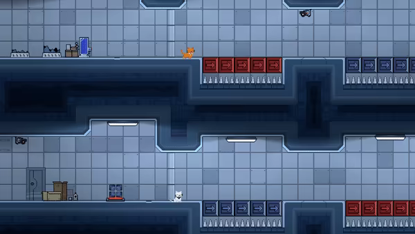 Lab Cats video 3