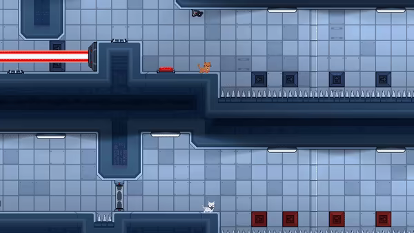 Lab Cats video 4