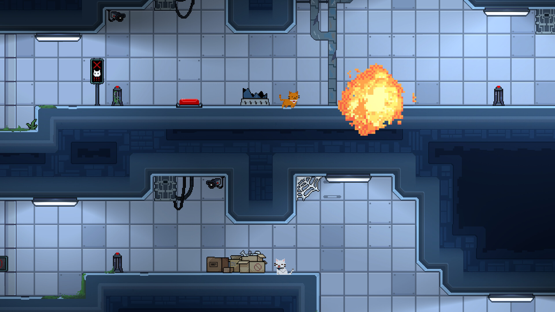 Lab Cats screenshot #3