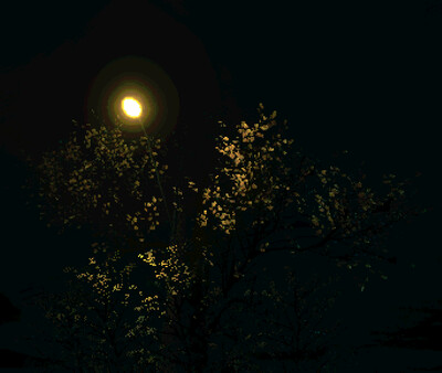 Screenshot 20