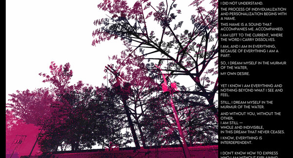 Screenshot 26