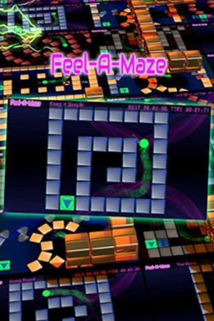 Feel-A-Maze cover art