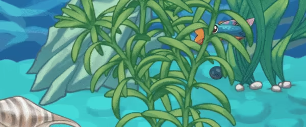 My Joyful Aquarium video 3