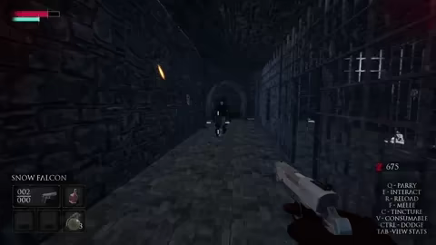 Hallowed Crucible video 6