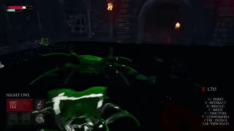 Hallowed Crucible video 2