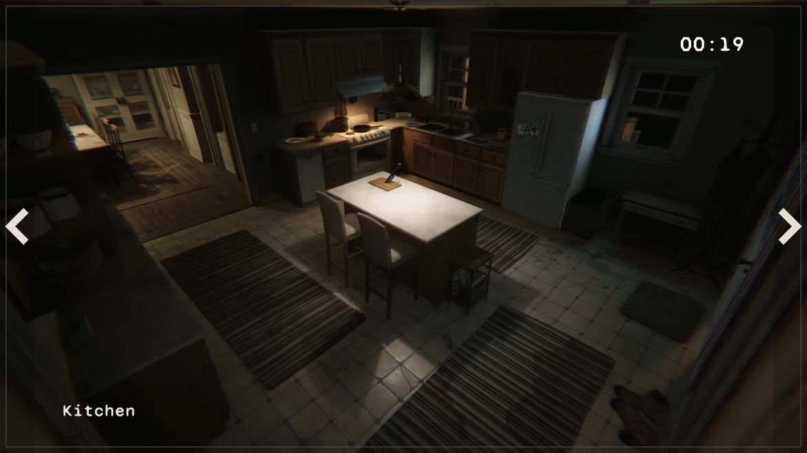 Silent Anomalies video 2