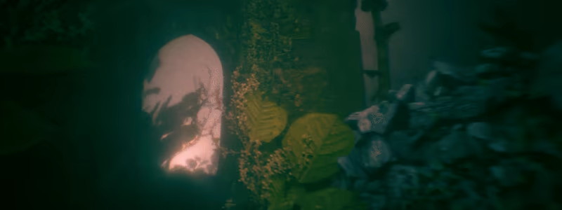 Benign Land video 6