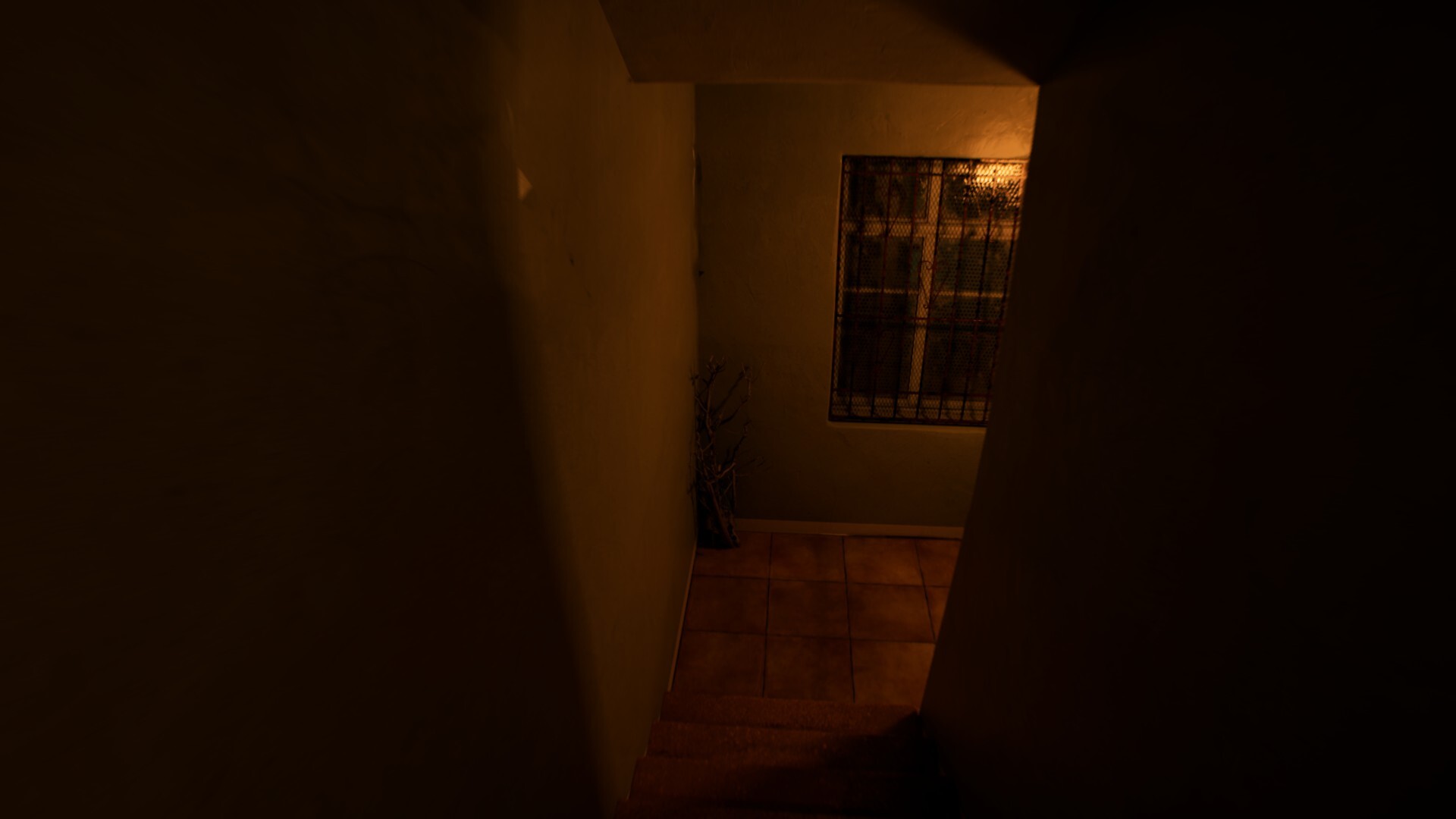 August Night screenshot 12
