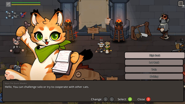 Cat Gladiator