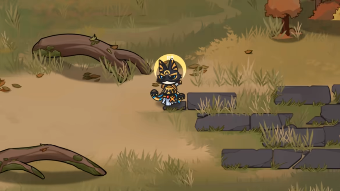 Cat Gladiator video 13