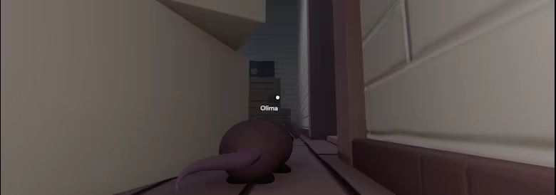 Rat Game video 1