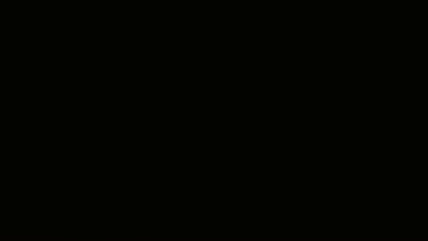 Treemee video 3