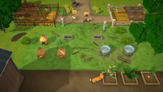 Bark and Catch video 1