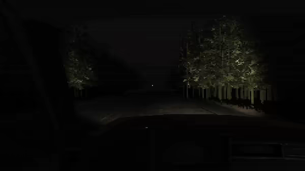 For Her video 1
