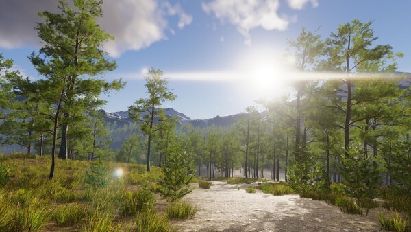 Screenshot 4 of Forest Tower - final gameplay screenshot