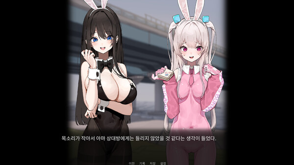 Superbunny's adventure.