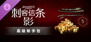 《刺客信条:影》 - 高级新手包
