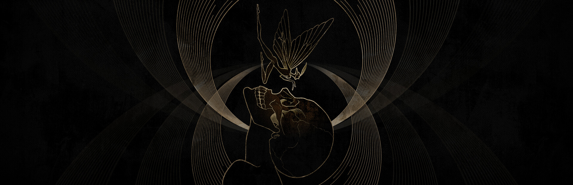 Death & Faeology