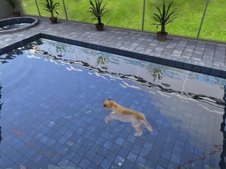Paws and Claws: Pampered Pets screenshot 3