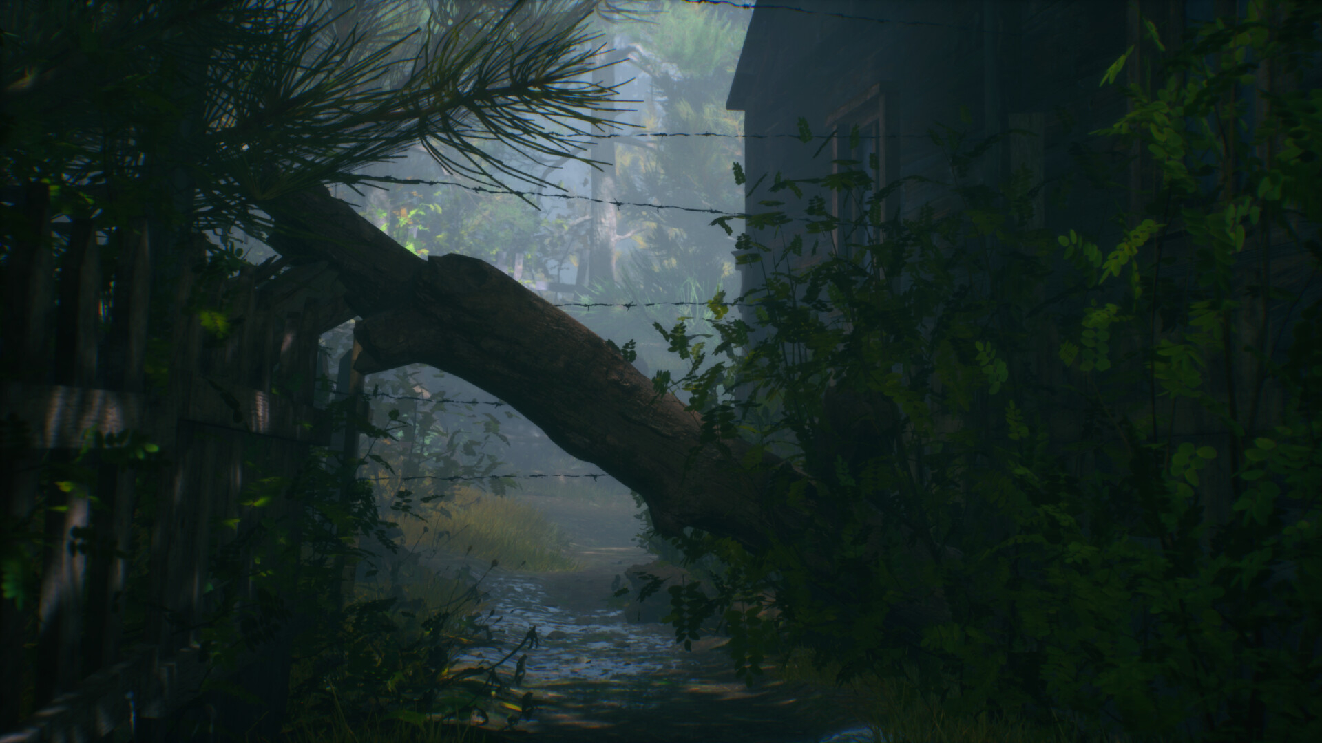 Tangles 2 تشابك screenshot #2