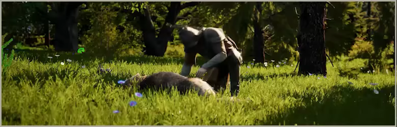 Valorborn video 4