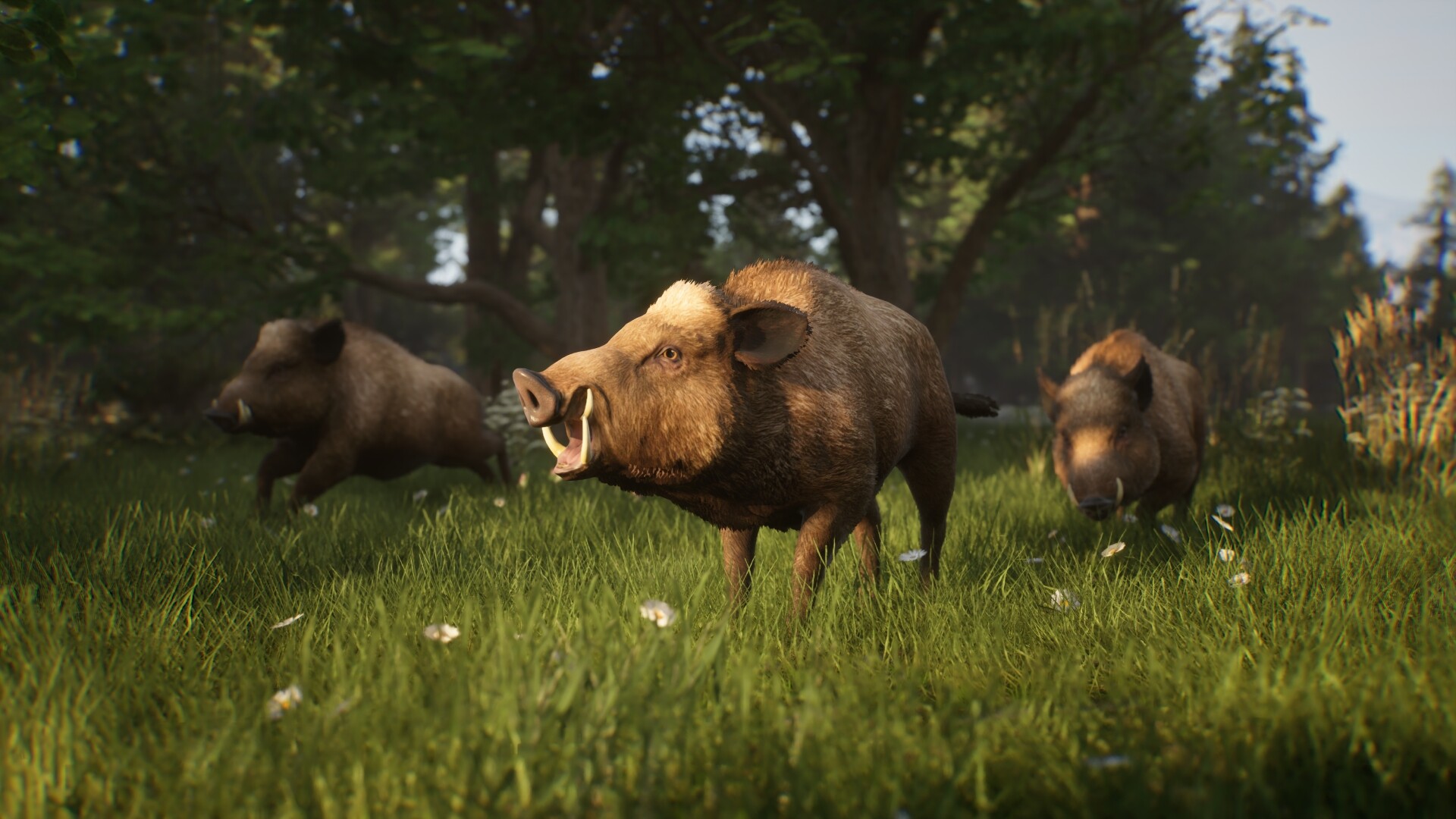 Noble Legacy screenshot #10