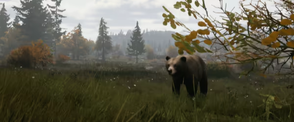 Noble Legacy video 12