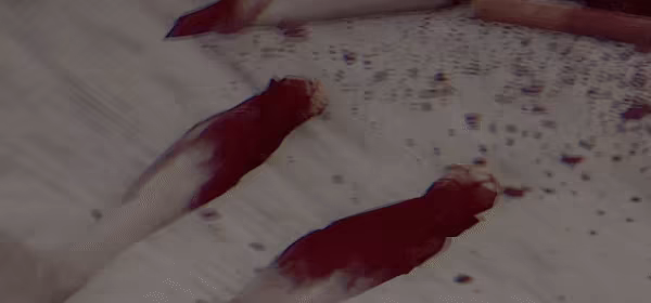 Christmas Mutilator video 3