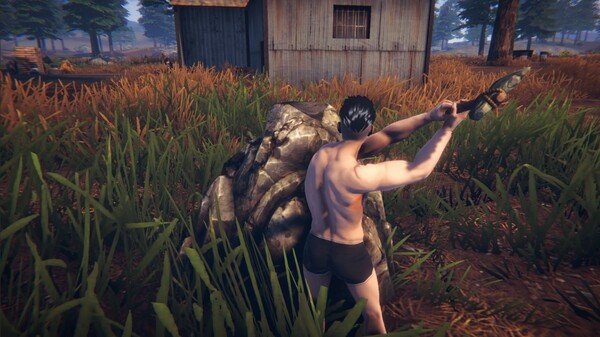 Thumbnail 0