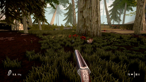 Raccoon Hunter screenshot 1