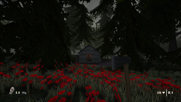 Raccoon Hunter screenshot 2